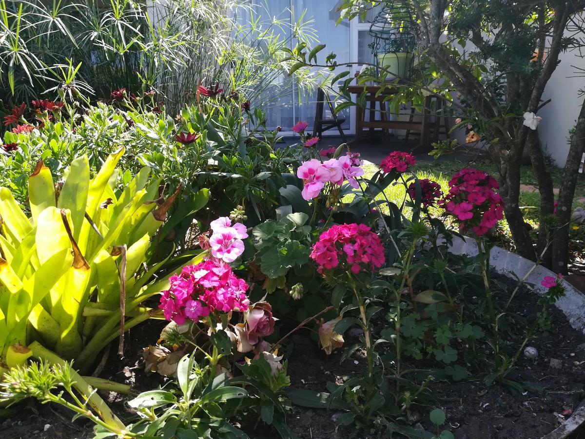 The Coelacanth Guest House And Beach Thyme Self Catering Kidd's Beach Bagian luar foto