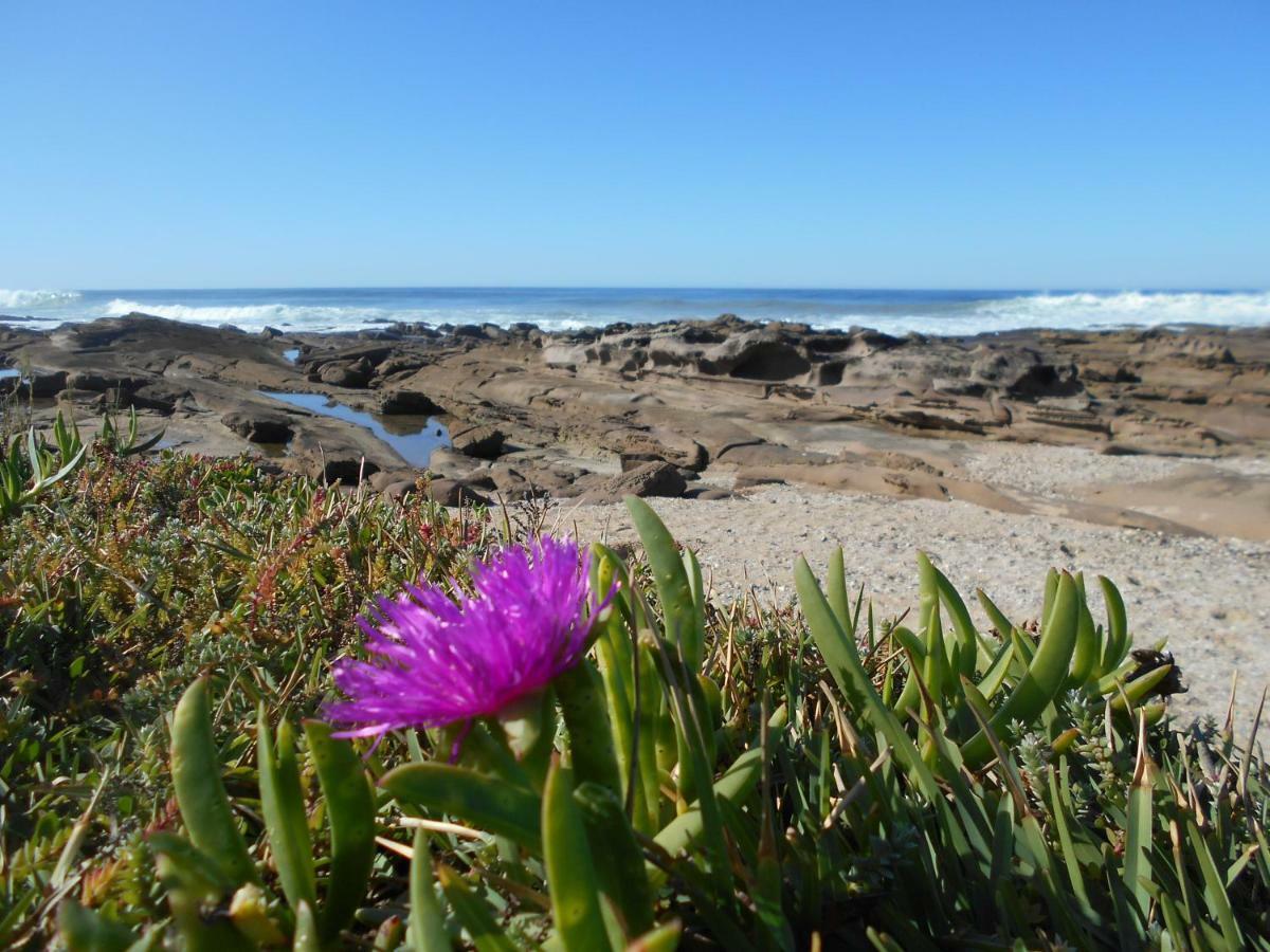 The Coelacanth Guest House And Beach Thyme Self Catering Kidd's Beach Bagian luar foto